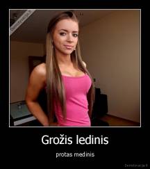 Grožis ledinis - protas medinis