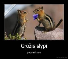 Grožis slypi - paprastume