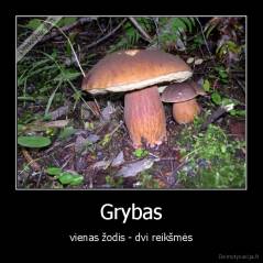 Grybas - vienas žodis - dvi reikšmės