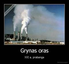 Grynas oras - XXI a. prabanga