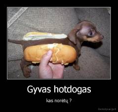 Gyvas hotdogas - kas norėtų ?