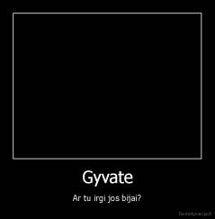 Gyvate - Ar tu irgi jos bijai?