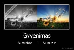 Gyvenimas - Be muzikos     |      Su muzika