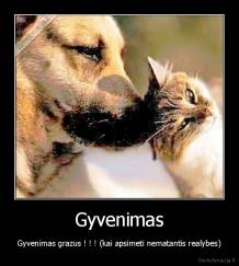 Gyvenimas - Gyvenimas grazus ! ! ! (kai apsimeti nematantis realybes)