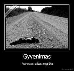 Gyvenimas -  Prarastas laikas negrįžta