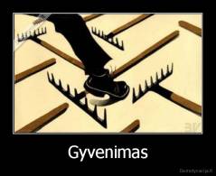 Gyvenimas - 