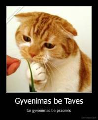 Gyvenimas be Taves - tai gyvenimas be prasmės