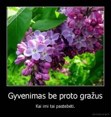 Gyvenimas be proto gražus - Kai imi tai pastebėti.