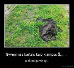 Gyvenimas kartais kaip klampus Š.... ,  - o aš be guminių!..