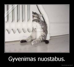 Gyvenimas nuostabus. - 