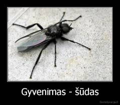 Gyvenimas - šūdas - 