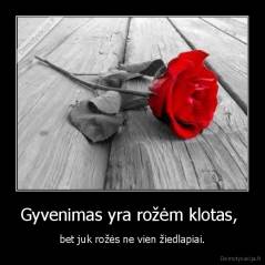 Gyvenimas yra rožėm klotas,  - bet juk rožės ne vien žiedlapiai.