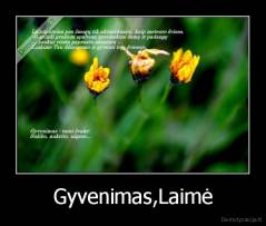 Gyvenimas,Laimė - 