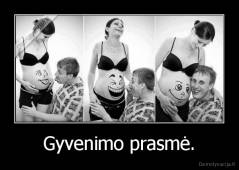 Gyvenimo prasmė. - 