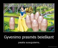 Gyvenimo prasmės beieškant - pasaka suaugusiems.