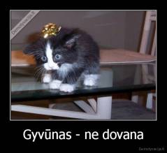 Gyvūnas - ne dovana - 