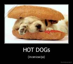 HOT DOGs - (incenizacija)