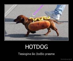 HOTDOG - Tiesiogine šio žodžio prasme