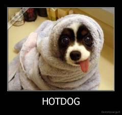 HOTDOG - 