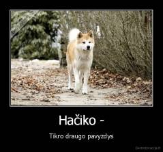 Hačiko - - Tikro draugo pavyzdys