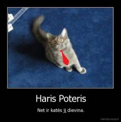 Haris Poteris - Net ir katės jį dievina.