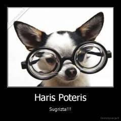 Haris Poteris - Sugrizta!!!