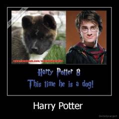 Harry Potter  - 