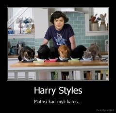 Harry Styles - Matosi kad myli kates...