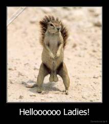 Helloooooo Ladies! - 