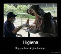 Higiena - Begemotams irgi reikalinga.