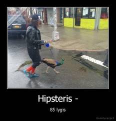 Hipsteris - - 85 lygis