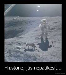 Hiustone, jūs nepatikėsit... - 