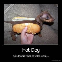 Hot Dog - šiais laikais žmonės valgo viską...