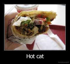 Hot cat - 