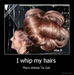 I whip my hairs  - Mano stilistai Tai Gali 