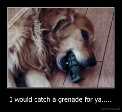 I would catch a grenade for ya..... - 