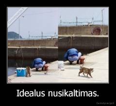 Idealus nusikaltimas. - 