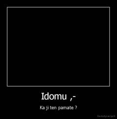 Idomu ,- - Ka ji ten pamate ?