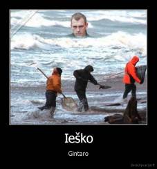 Ieško - Gintaro