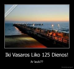 Iki Vasaros Liko 125 Dienos! - Ar lauki??