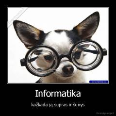 Informatika - kažkada ją supras ir šunys