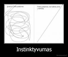 Instinktyvumas - 