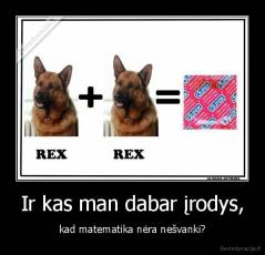 Ir kas man dabar įrodys, - kad matematika nėra nešvanki?