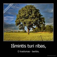 Išmintis turi ribas, - O kvailumas - beribis.