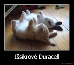 Išsikrovė Duracell - 