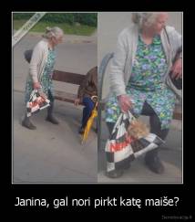 Janina, gal nori pirkt katę maiše? - 