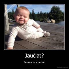 Jaučiat? - Pavasaris, chebra!