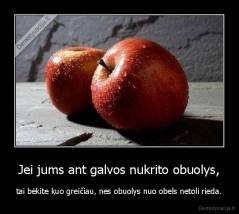 Jei jums ant galvos nukrito obuolys, - tai bėkite kuo greičiau, nes obuolys nuo obels netoli rieda.