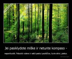 Jei pasiklydote miške ir neturite kompaso - - nepanikuokit. Palaukit rudens ir sekit paskui paukščius, kurie skris į pietus.