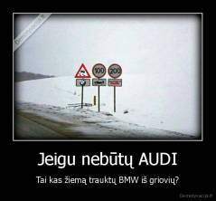 Jeigu nebūtų AUDI - Tai kas žiemą trauktų BMW iš griovių?